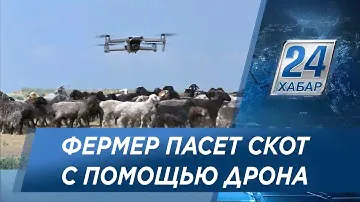 Жамбылский фермер пасет скот с помощью дрона