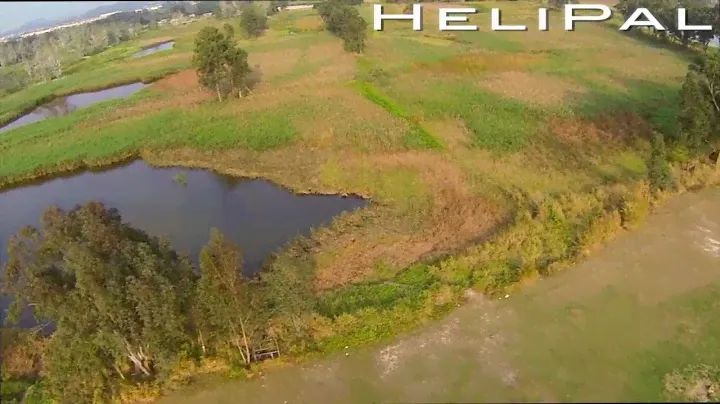 HeliPal.com - DJI Naza-M and GPS on Storm Drone w/ Go Pro 3