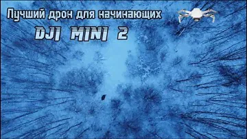 Съемки лосей с квадрокоптера DJI Mini 2